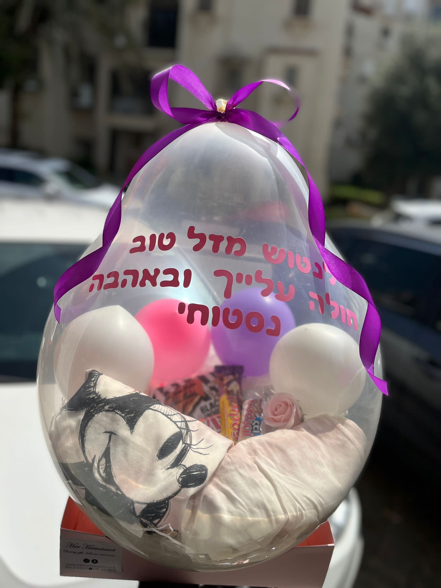 פיגמה ושוקולדים